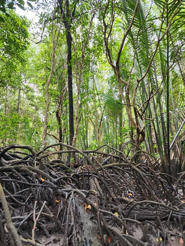 9d10e240-3a7d-40c3-bb79-e64d868aa9b2