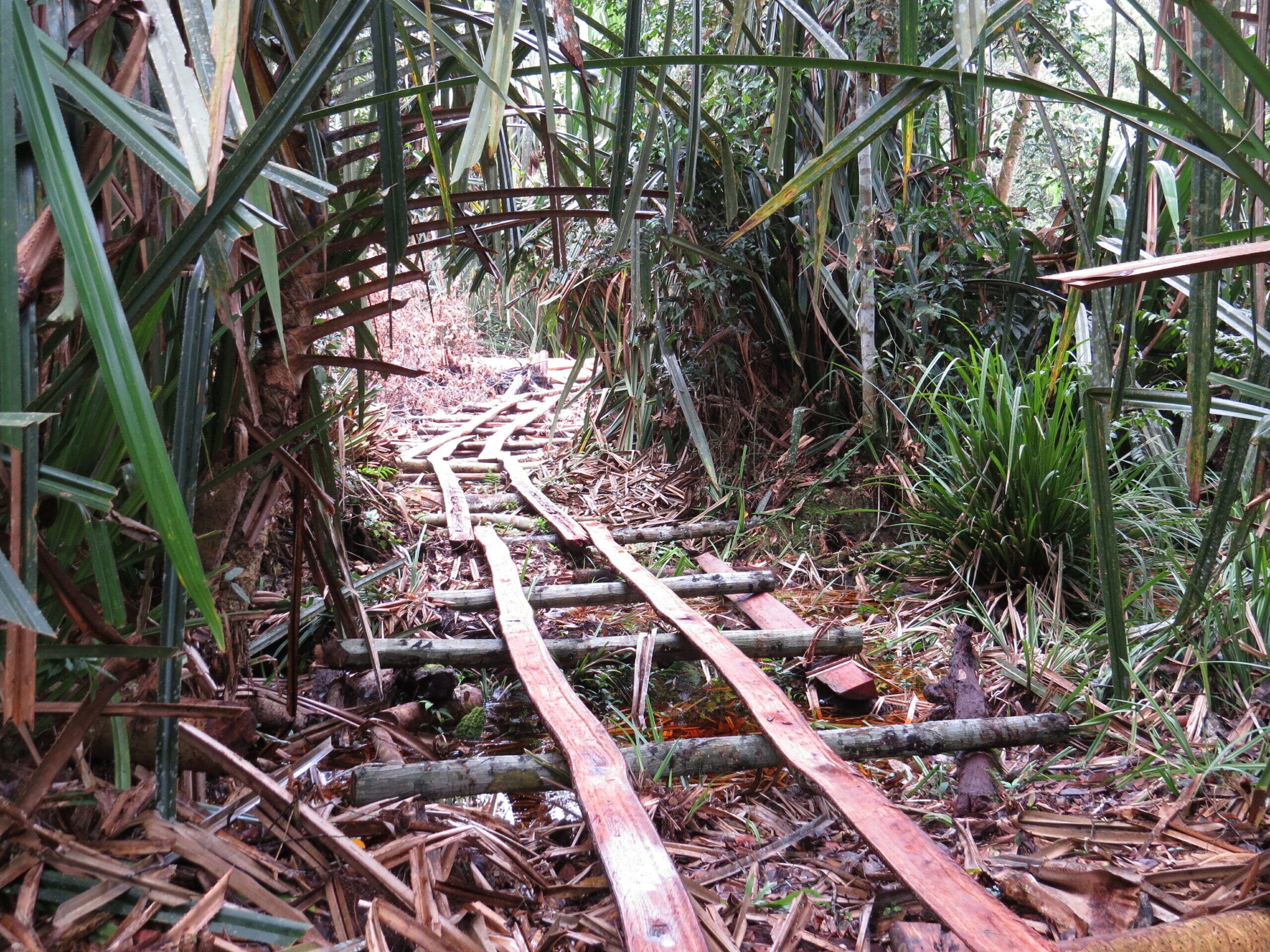 IMG_0857-1-scaled.jpg?w=1067&h=800&scale