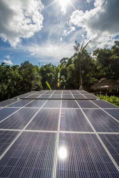 istockphoto-1262931738-612x612-1