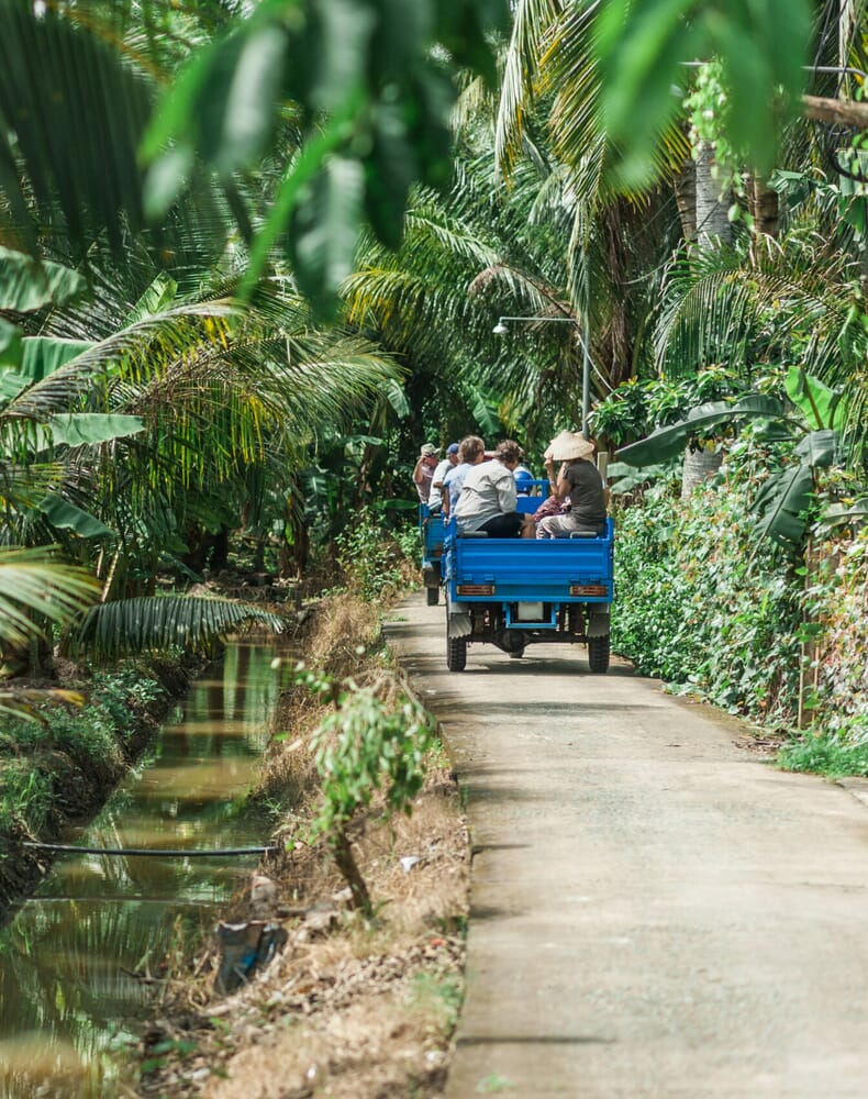 iStock-1047192524-scaled-e1641392872263.jpg?w=790&h=1000&scale iStock-1047192524-scaled-e1641392872263.jpg?w=790&h=1000&scale