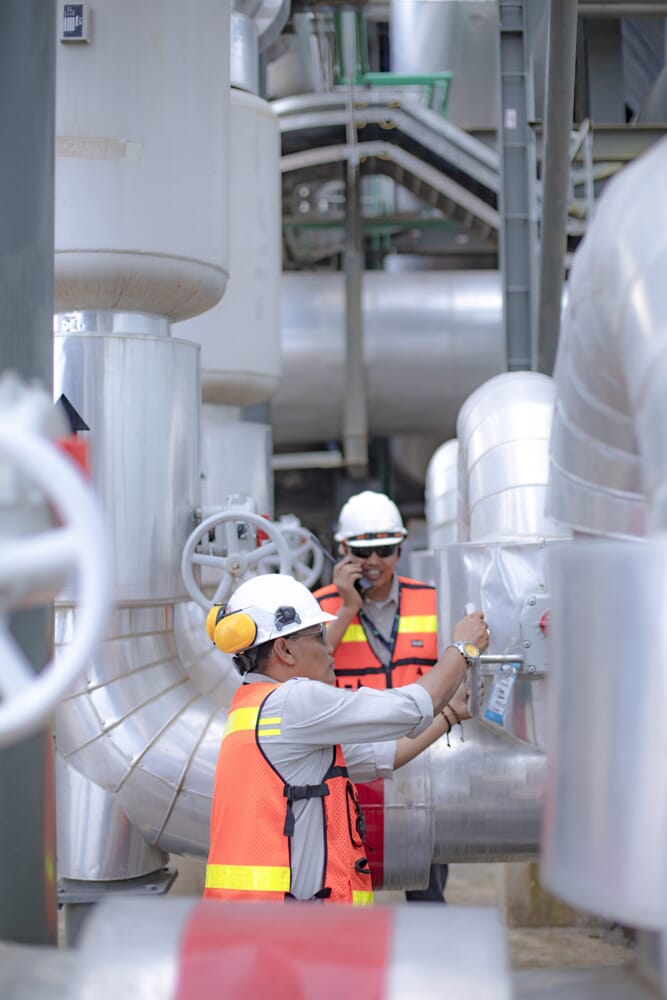 iStock-1185653090-scaled.jpg?w=667&h=1000&scale iStock-1185653090-scaled.jpg?w=667&h=1000&scale