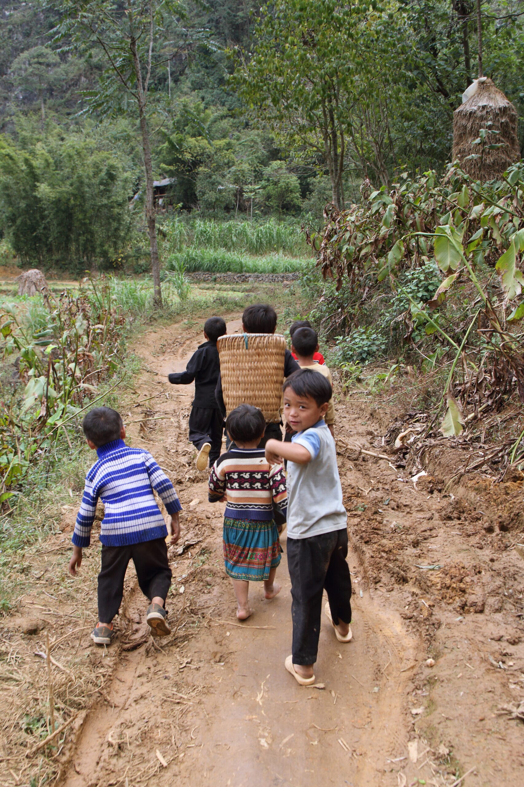 iStock-472126719-scaled.jpg?w=667&h=1000&scale