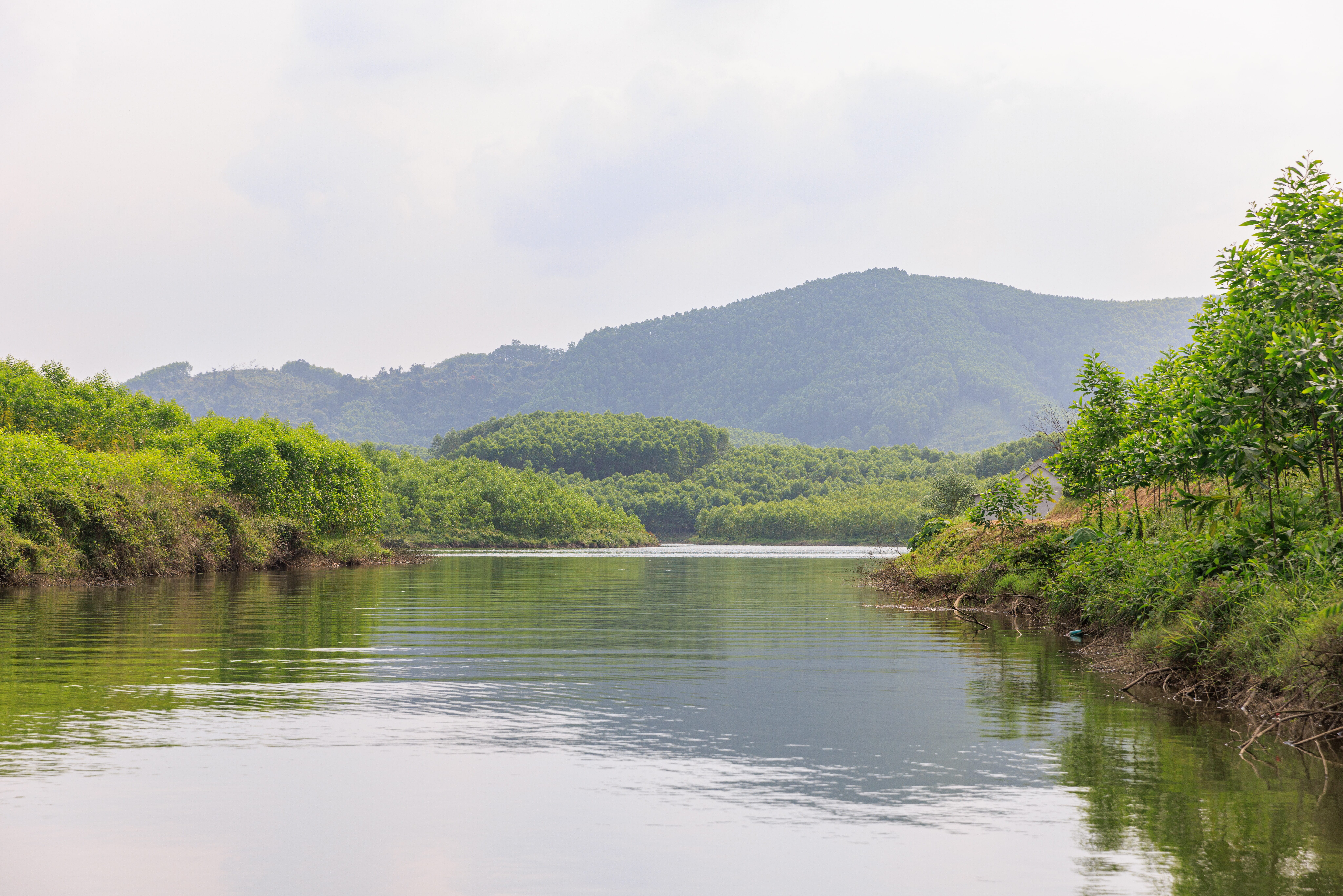 ID_8133.jpg?w=1024&h=683&scale