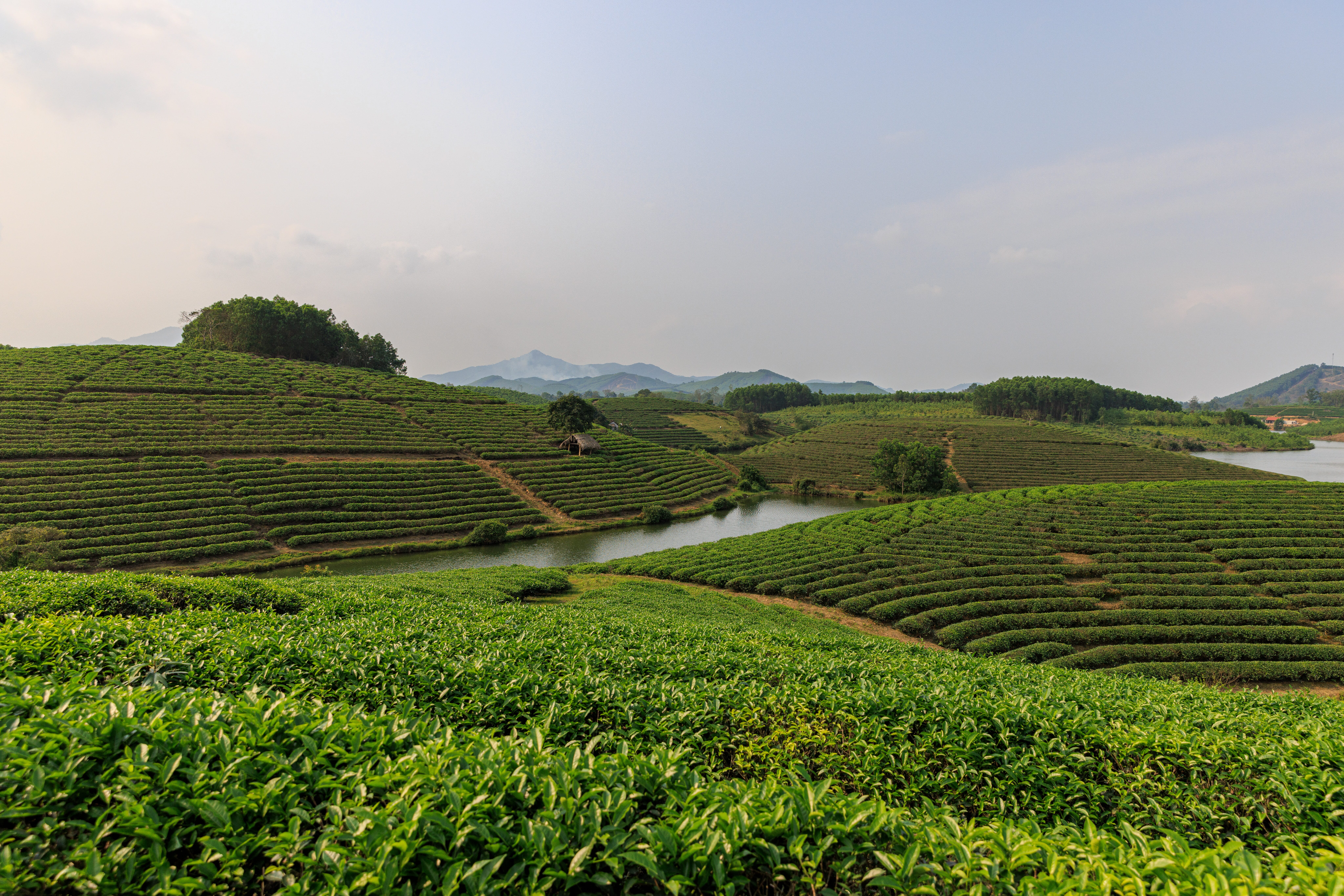 ID_8201.jpg?w=1024&h=683&scale