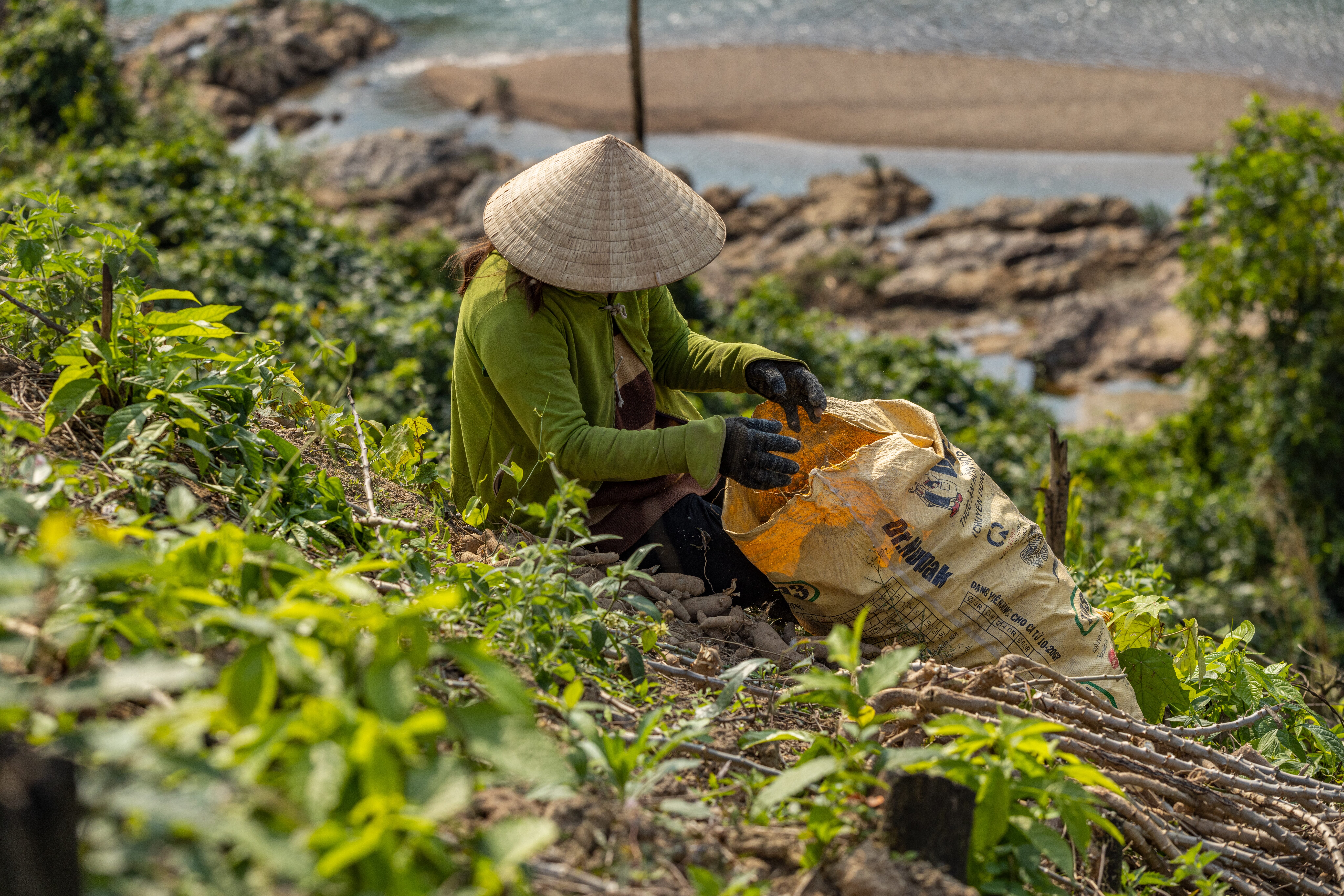 ID_9307.jpg?w=1499&h=1000&scale